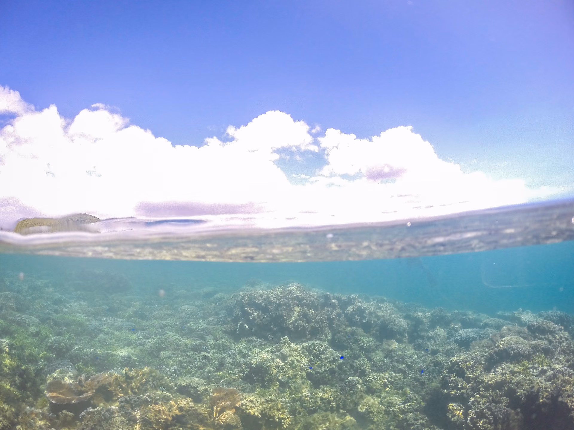 To Sua Ocean Trench