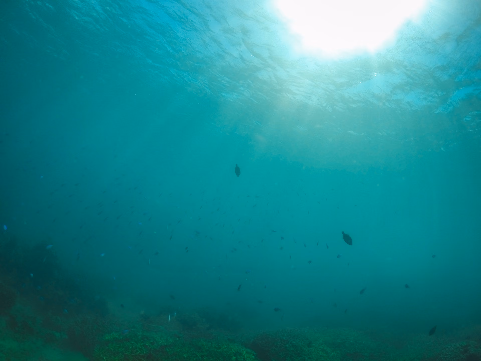 To Sua Ocean Trench