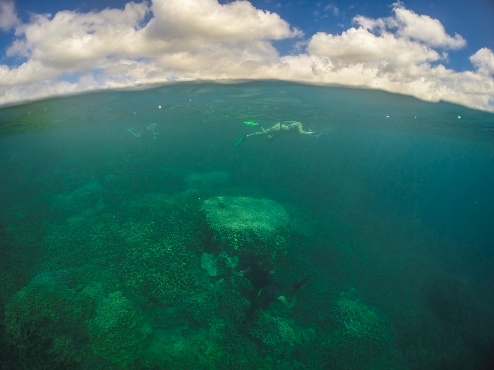 Glass bottom boat tour