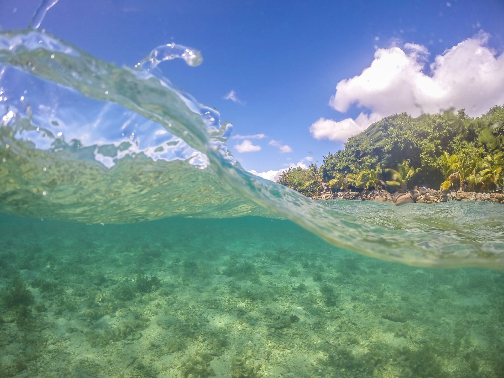Glass bottom boat tour
