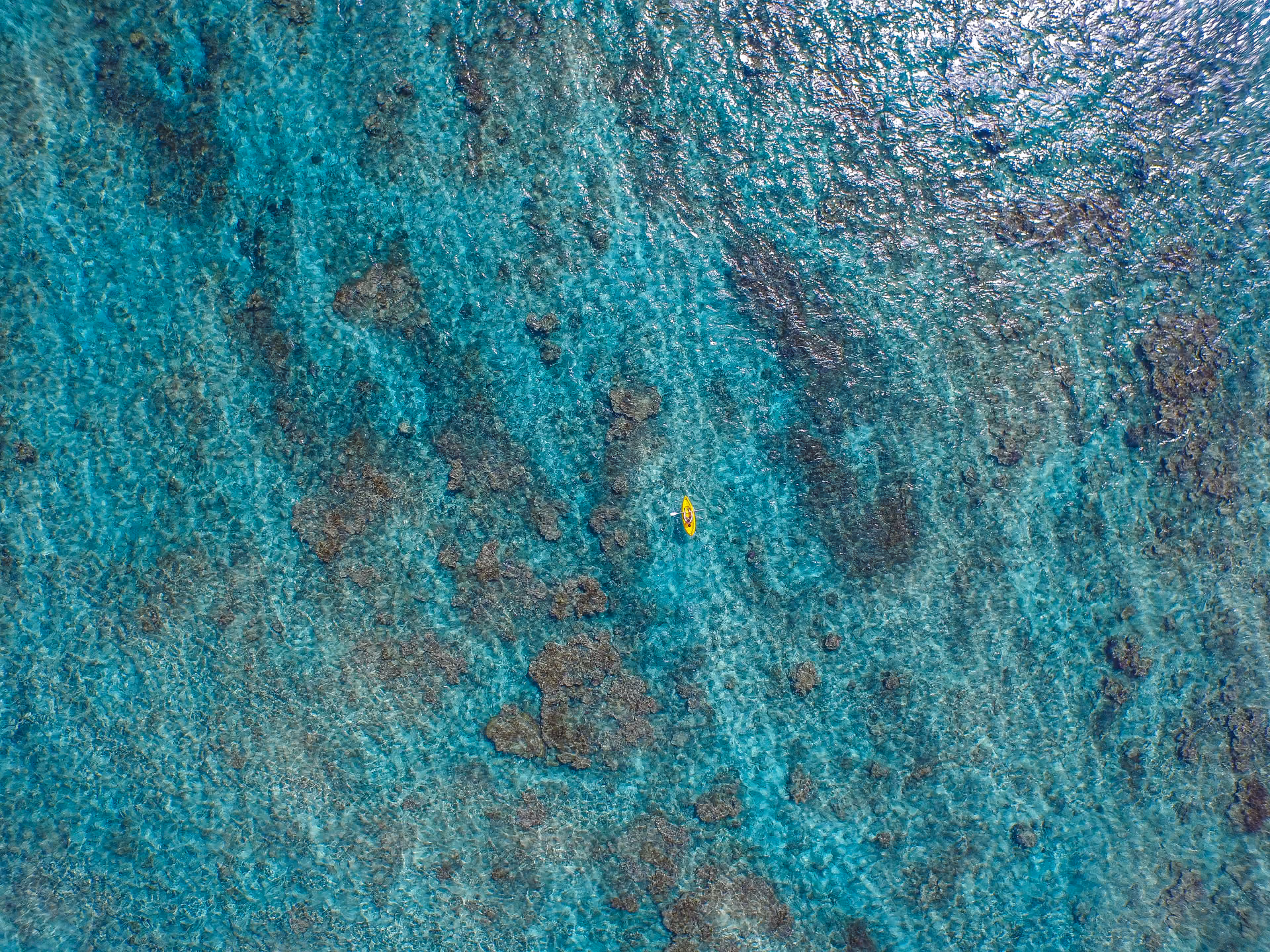 Glass bottom boat tour