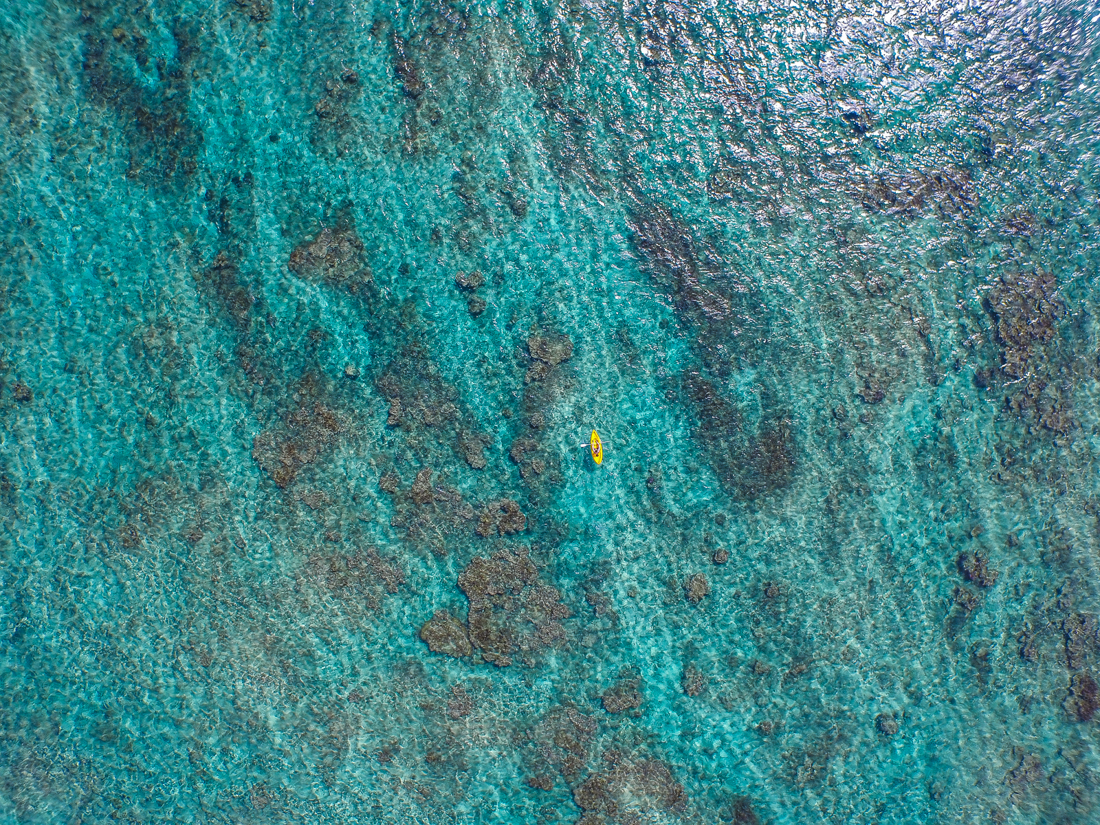 Glass bottom boat tour