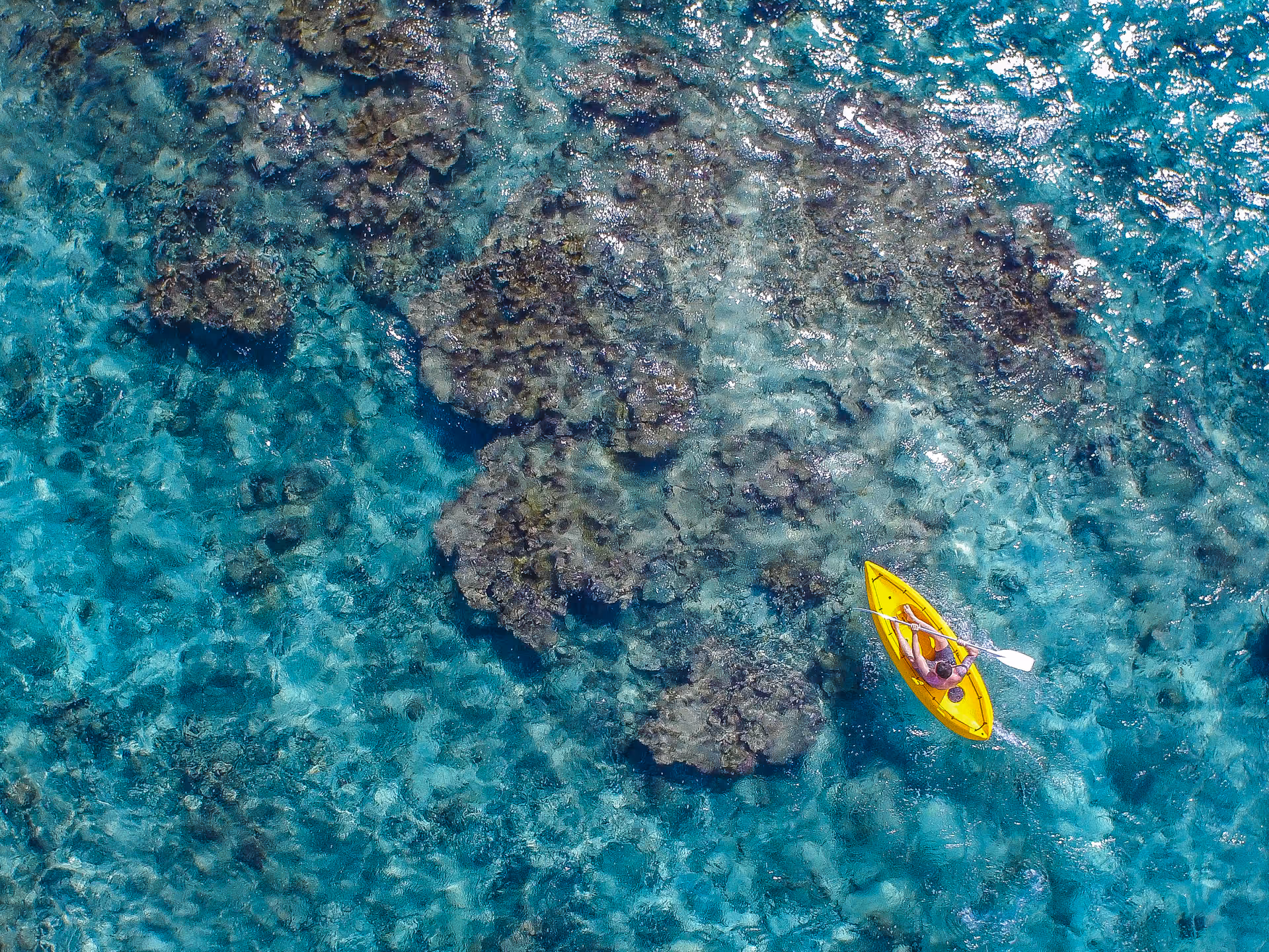 Glass bottom boat tour