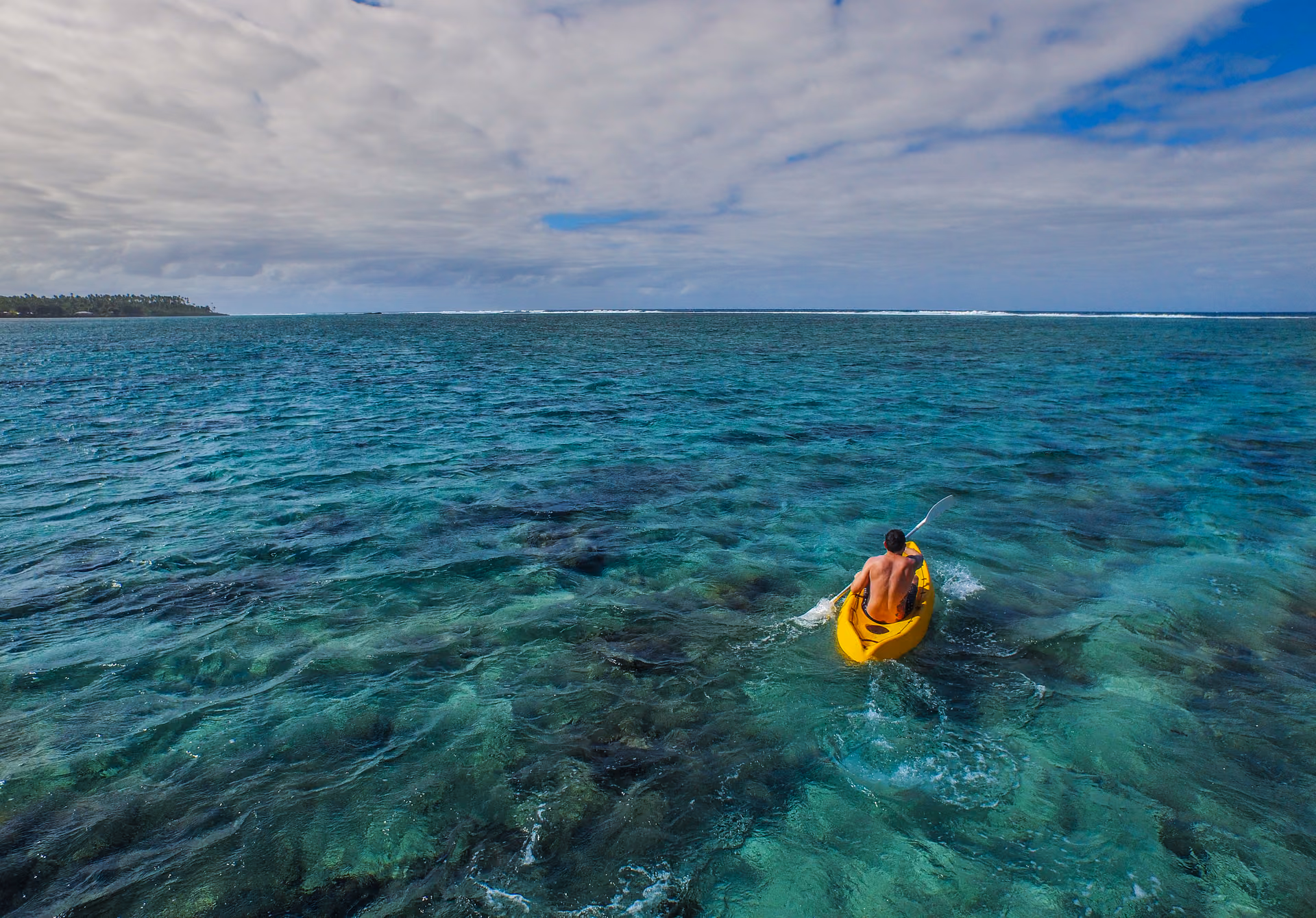 Glass bottom boat tour