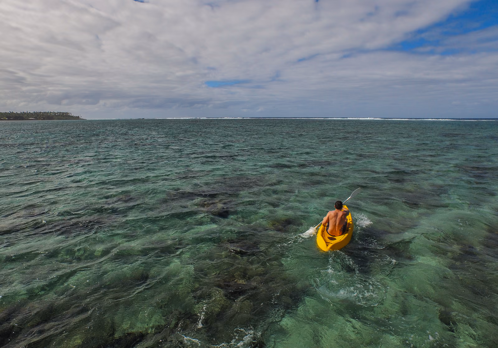 Glass bottom boat tour
